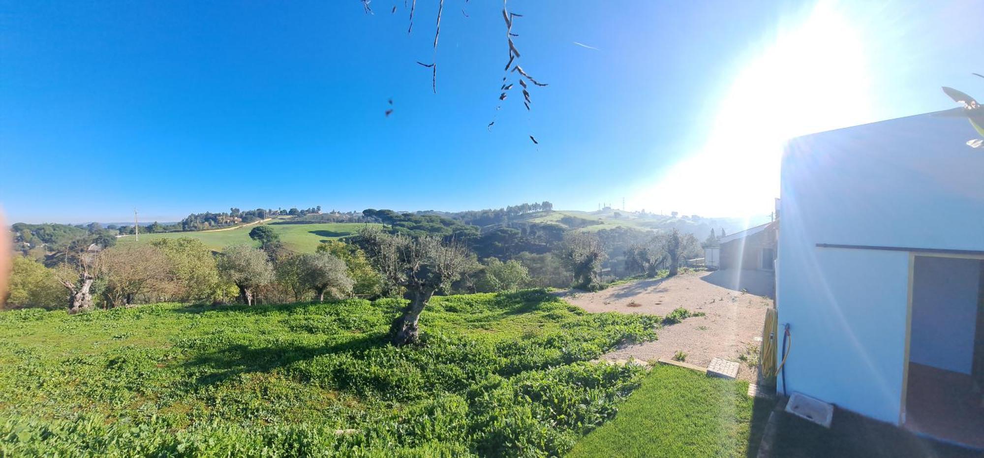 Quinta De Matrena Vila Macieiros Exterior foto